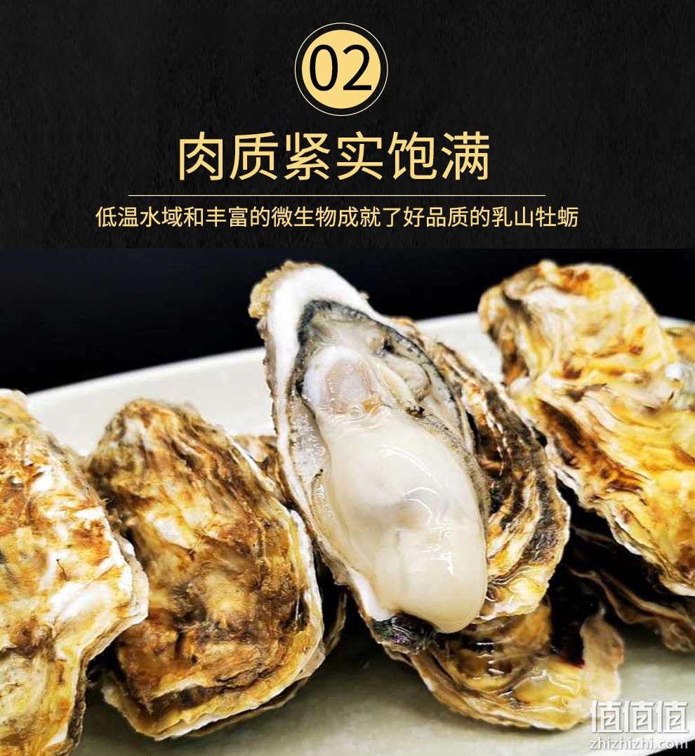 新低！4.9分高好评，国家地标产品：5斤 乳山 鲜活牡蛎 34.9元包邮（之前推荐39.9元） 值值值-买手聚集的地方
