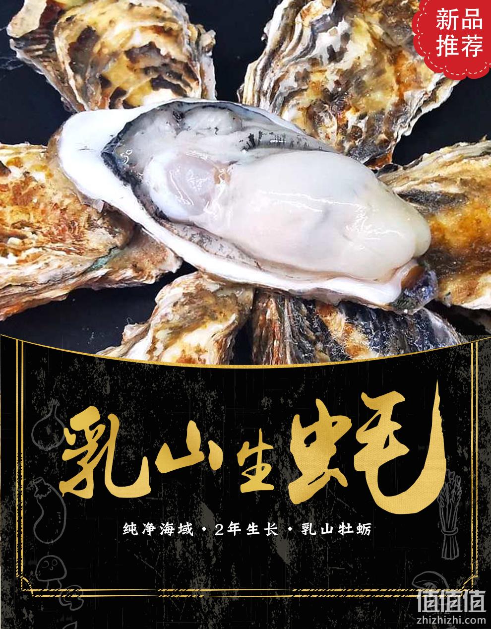 新低！4.9分高好评，国家地标产品：5斤 乳山 鲜活牡蛎 34.9元包邮（之前推荐39.9元） 值值值-买手聚集的地方