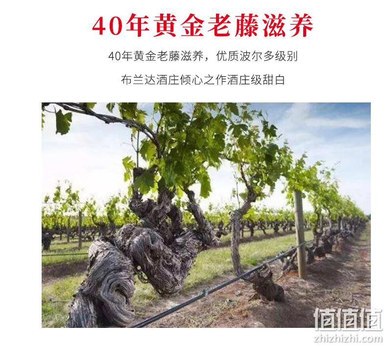 法国原瓶进口 750mlx2支，拉蒙 波尔多AOC 布兰达酒庄甜白葡萄酒 券后99元包邮送礼袋 值值值-买手聚集的地方