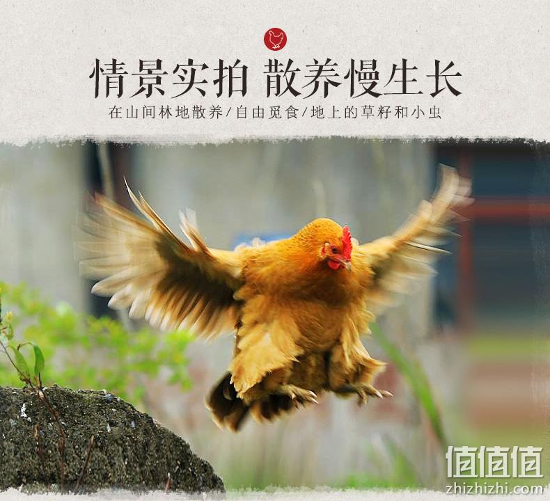 08奥运会供应商，圣华 鸡翅中 4斤 券后108元包邮 值值值-买手聚集的地方