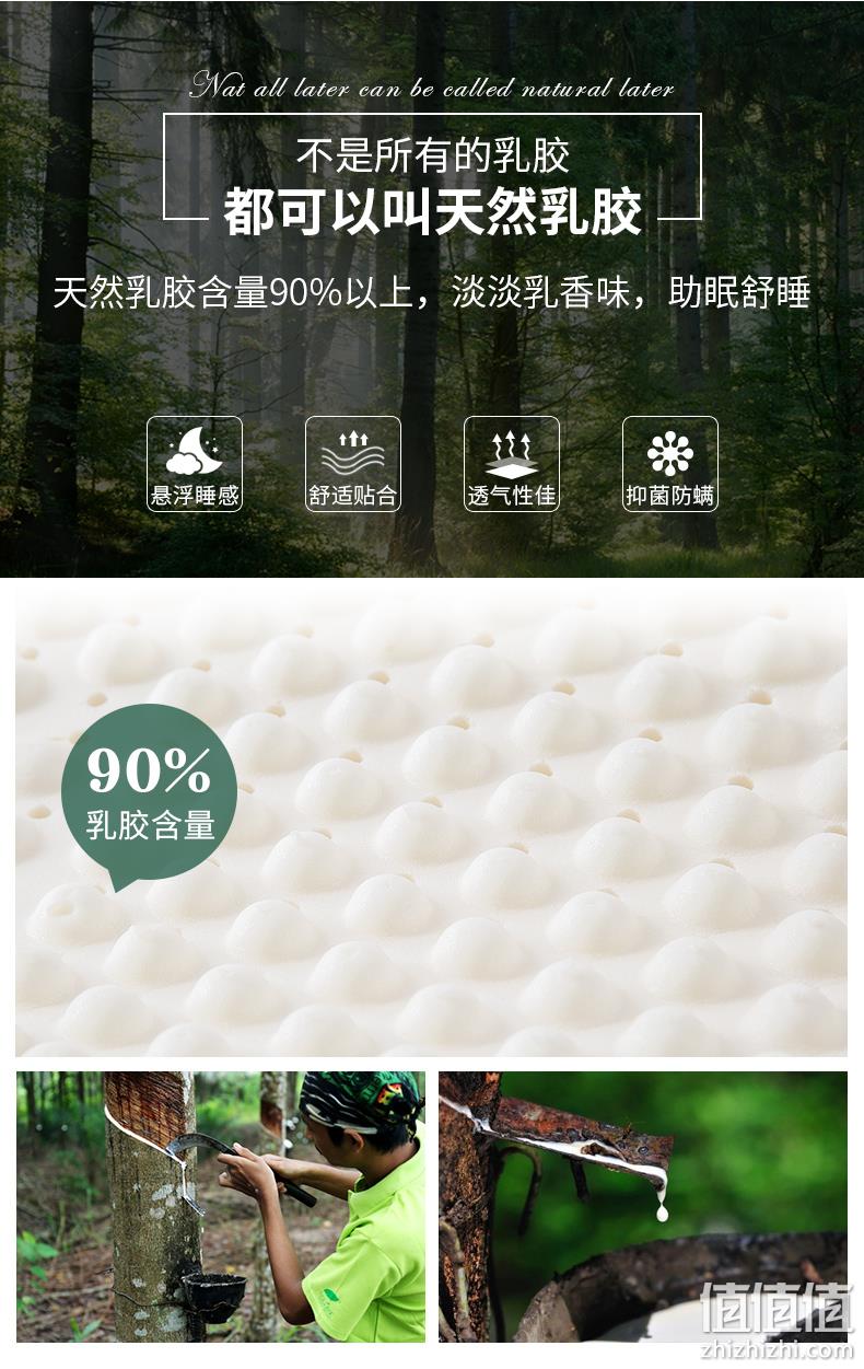 4.9分、90%乳胶 小编长期使用：紫罗兰 泰国天然乳胶枕 券后49元起包邮 值值值-买手聚集的地方