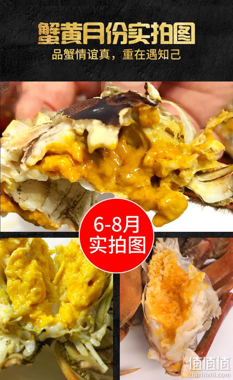 1.5-1.9两，12只：盘锦河蟹 稻田蟹 券后79.92元包邮 值值值-买手聚集的地方