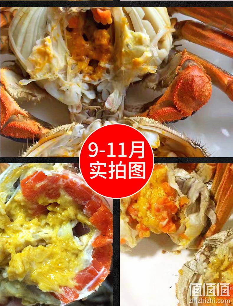 1.5-1.9两，12只：盘锦河蟹 稻田蟹 券后79.92元包邮 值值值-买手聚集的地方