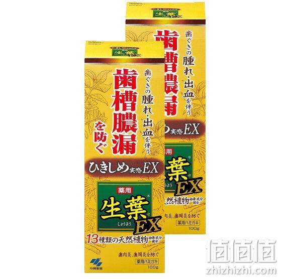 针对牙龈问题 KOBAYASHI 小林制药 生叶EX增强版中药牙膏 100gx2支 144.03元包邮 值值值-买手聚集的地方