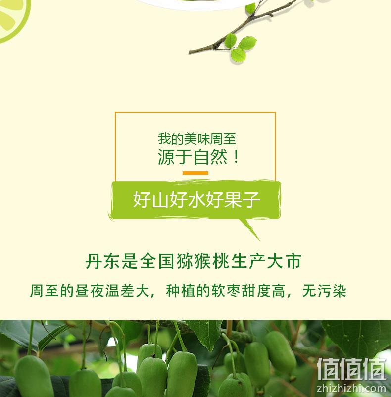 半斤试吃装：魅可 丹东特产 新鲜软枣猕猴桃 8元包邮 值值值-买手聚集的地方