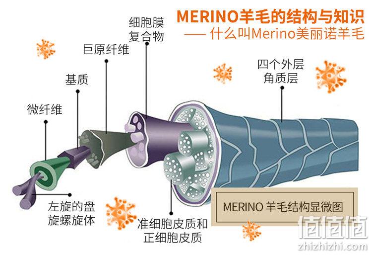 商场同款，50%美丽诺羊毛，透气保暖防臭：地球科学家 男女 羊毛混纺长袖T恤衫 券后59元包邮（吊牌价490元） 值值值-买手聚集的地方