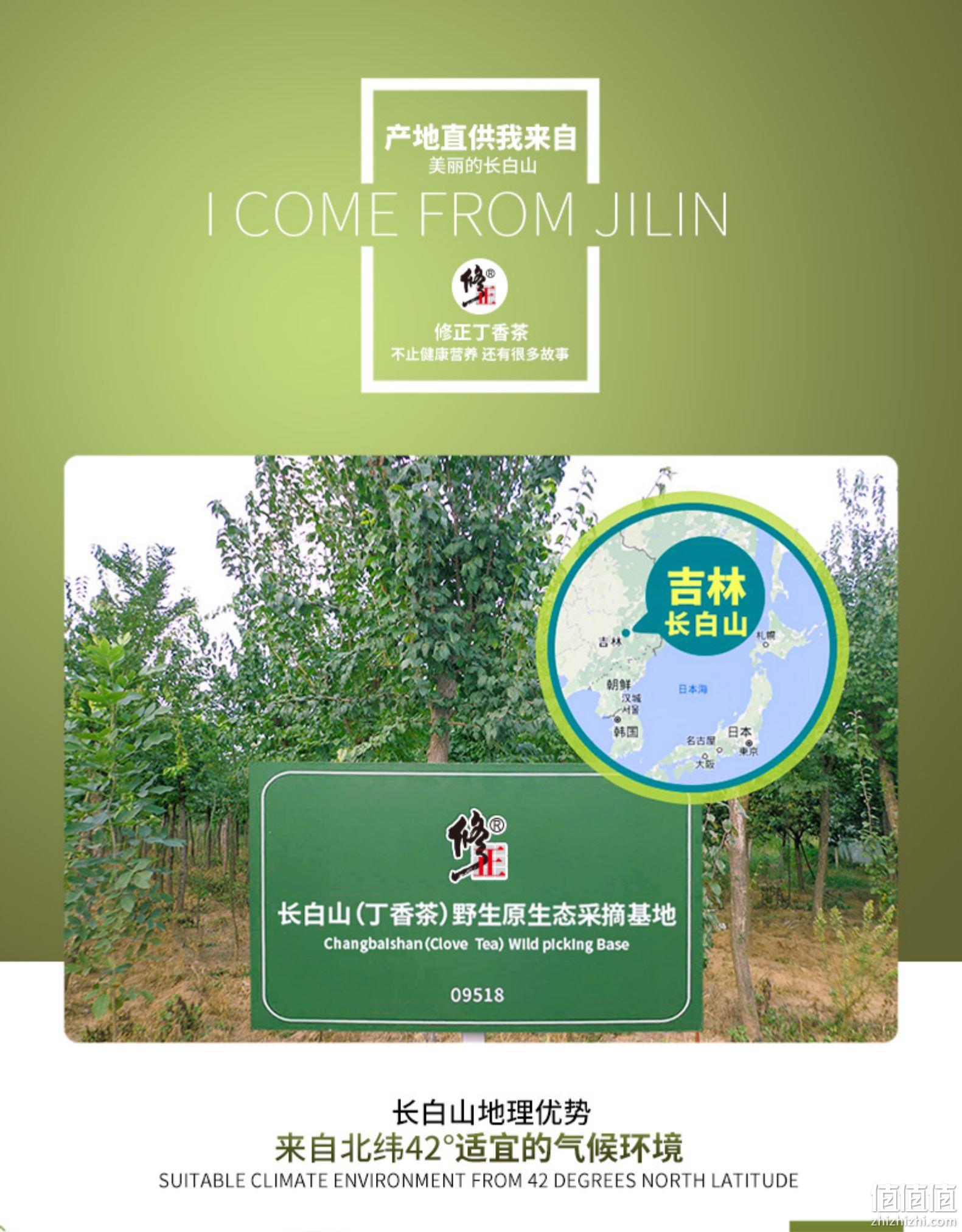 养胃抗菌 50g 修正 野生长白山丁香茶 券后13元包邮 值值值-买手聚集的地方