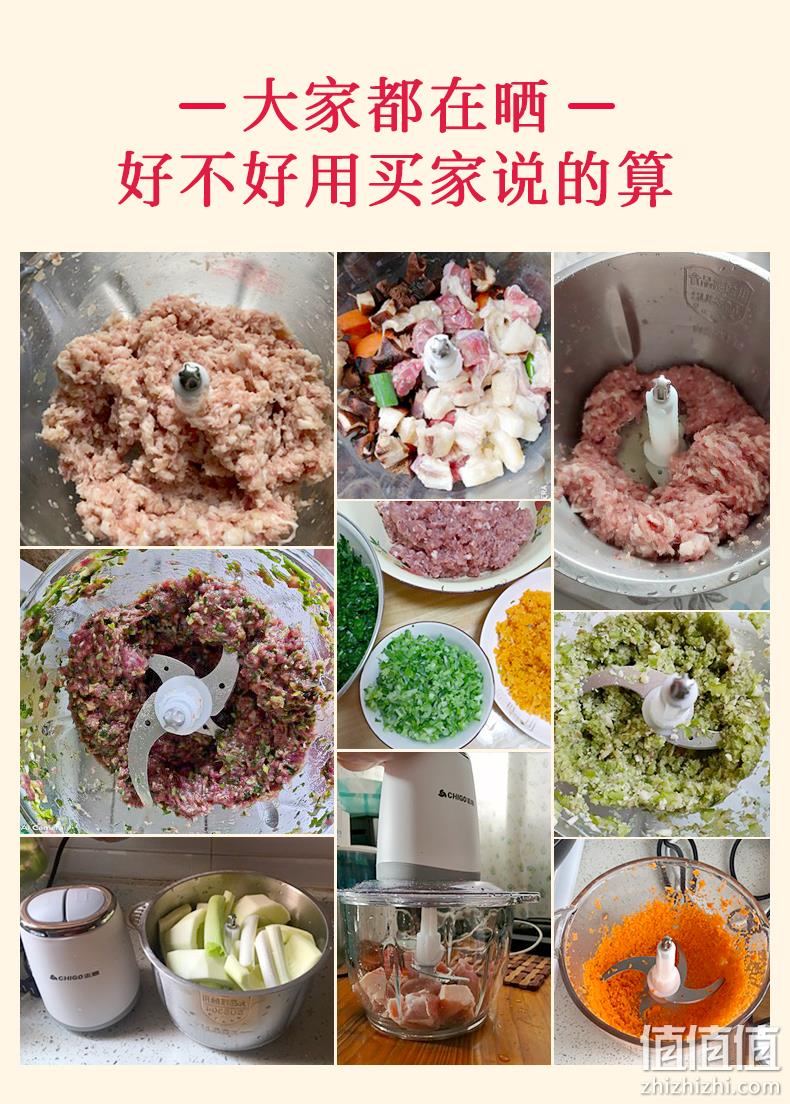 志高 小型电动绞肉机 券后49.98元包邮 值值值-买手聚集的地方