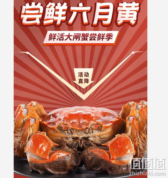 坏单包赔 童子蟹 尝鲜8只：全母大闸蟹 2.0-1.5两 券后29.9元包邮 值值值-买手聚集的地方