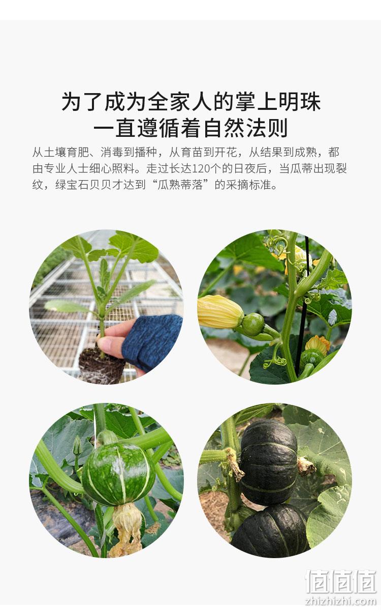 A级、5斤、坏果包赔：百果园 板栗味贝贝南瓜 券后16.9元包邮 值值值-买手聚集的地方