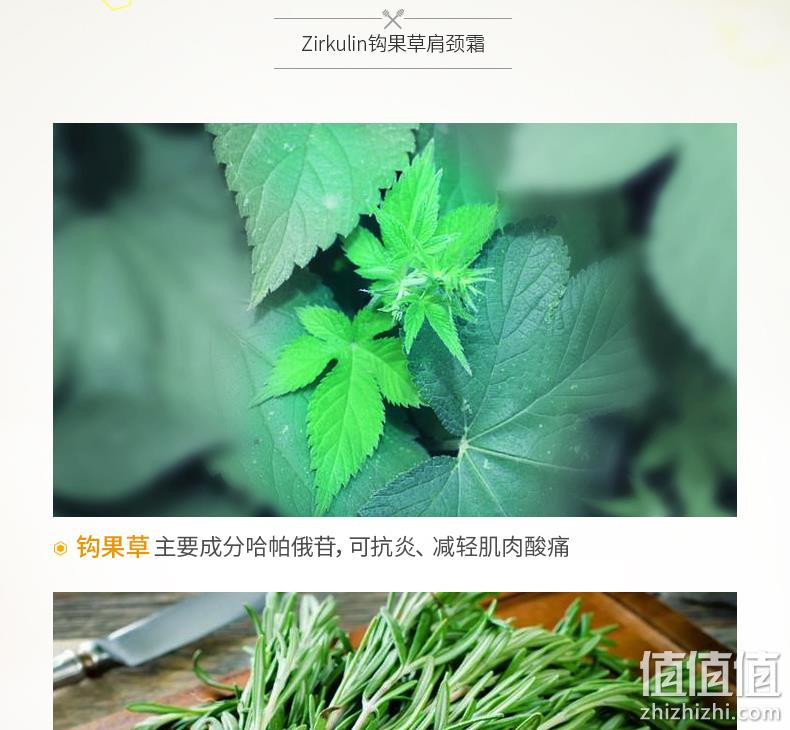 久坐必备、舒缓肩颈疲劳：德国进口 125ml Zirkulin/哲库林 勾果草肩颈霜 88元包邮 值值值-买手聚集的地方