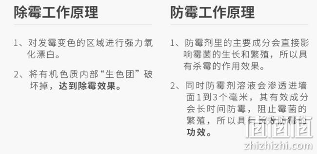 买手好评，除霉+防霉！葡萄牙进口 Mootaa 墙面除霉剂550ml 29元包邮 值值值-买手聚集的地方