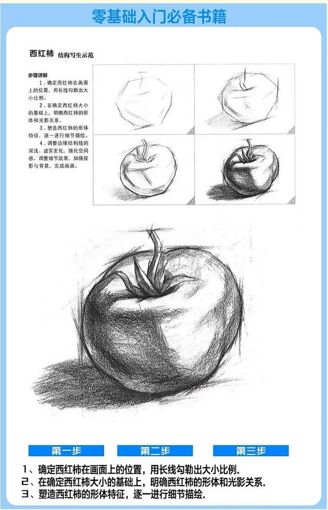 0基础手绘入门，安徽美术出版社 素描基础教程 9.9元起包邮 值值值-买手聚集的地方