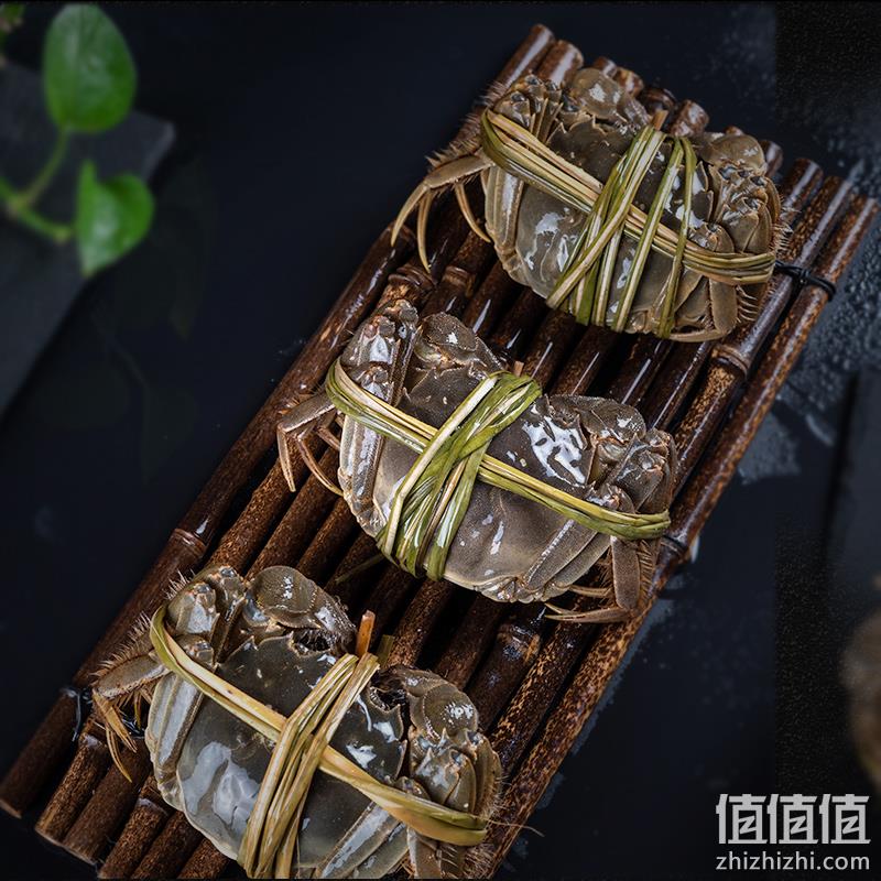 不是提货卡！秋卡 现货鲜活大闸蟹 4两公2只+母2.5两10只 99元包邮 值值值-买手聚集的地方