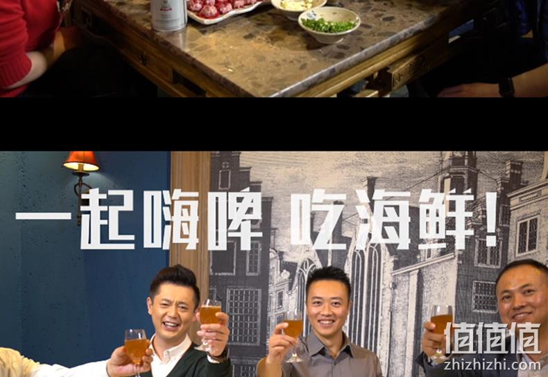 吉斯波尔 1L 精酿黄啤酒 券后9.9元包邮 值值值-买手聚集的地方