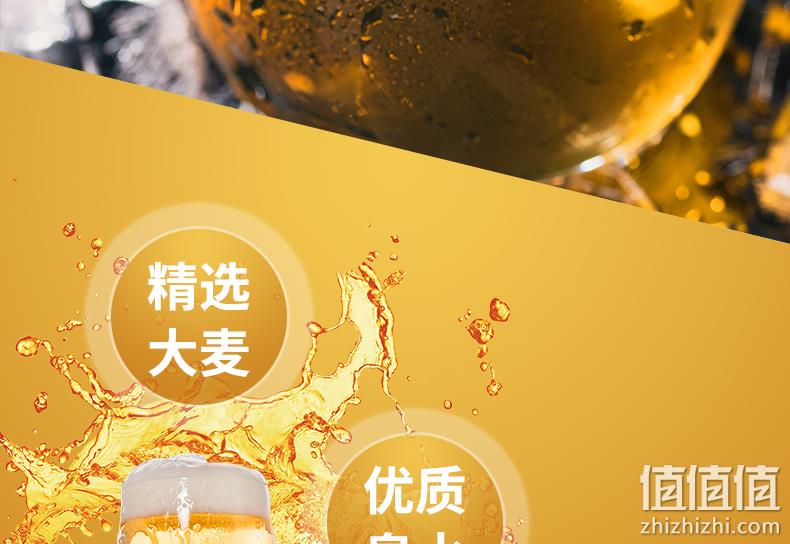 吉斯波尔 1L 精酿黄啤酒 券后9.9元包邮 值值值-买手聚集的地方
