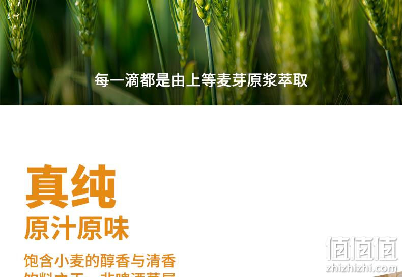 吉斯波尔 1L 精酿黄啤酒 券后9.9元包邮 值值值-买手聚集的地方