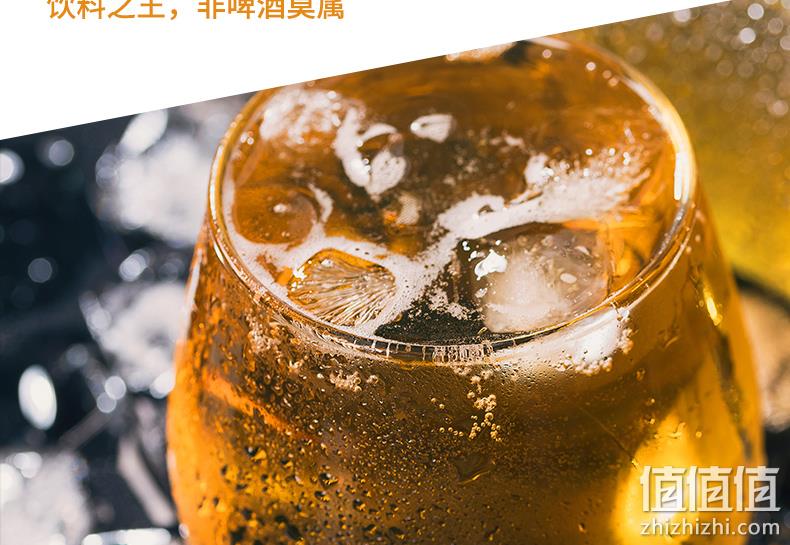 吉斯波尔 1L 精酿黄啤酒 券后9.9元包邮 值值值-买手聚集的地方