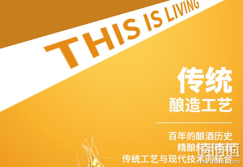 吉斯波尔 1L 精酿黄啤酒 券后9.9元包邮 值值值-买手聚集的地方