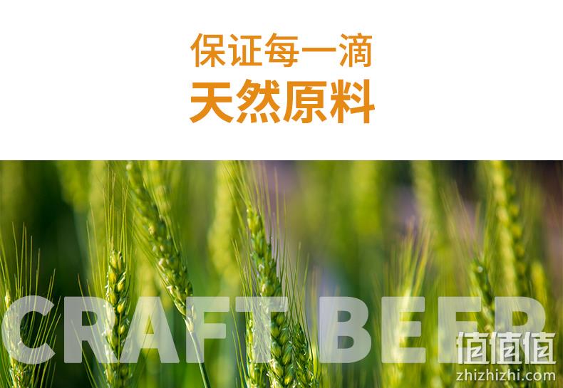 吉斯波尔 1L 精酿黄啤酒 券后9.9元包邮 值值值-买手聚集的地方