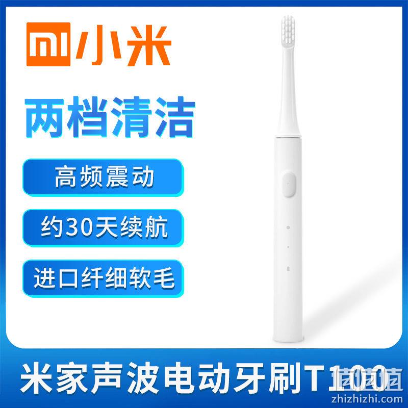 MIJIA 米家 T100 电动牙刷 29.9元包邮 值值值-买手聚集的地方