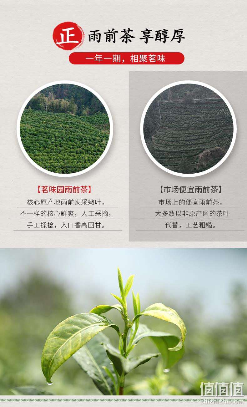 茗味园 雨前特级黄山毛峰 120g 6.9元包邮 值值值-买手聚集的地方