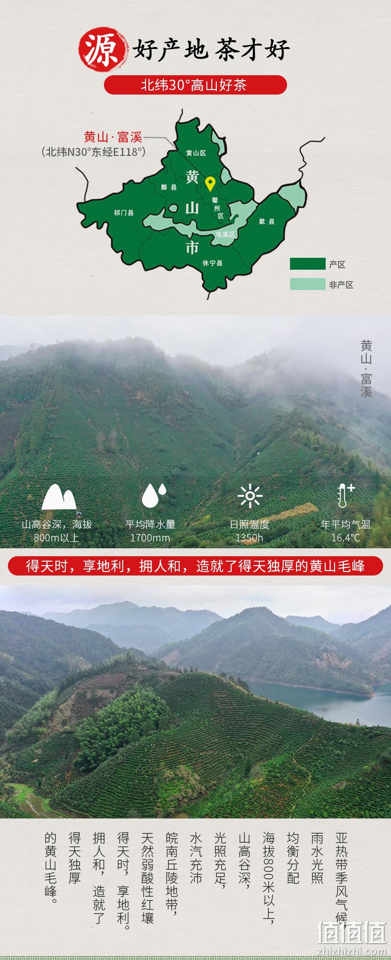 茗味园 雨前特级黄山毛峰 120g 6.9元包邮 值值值-买手聚集的地方