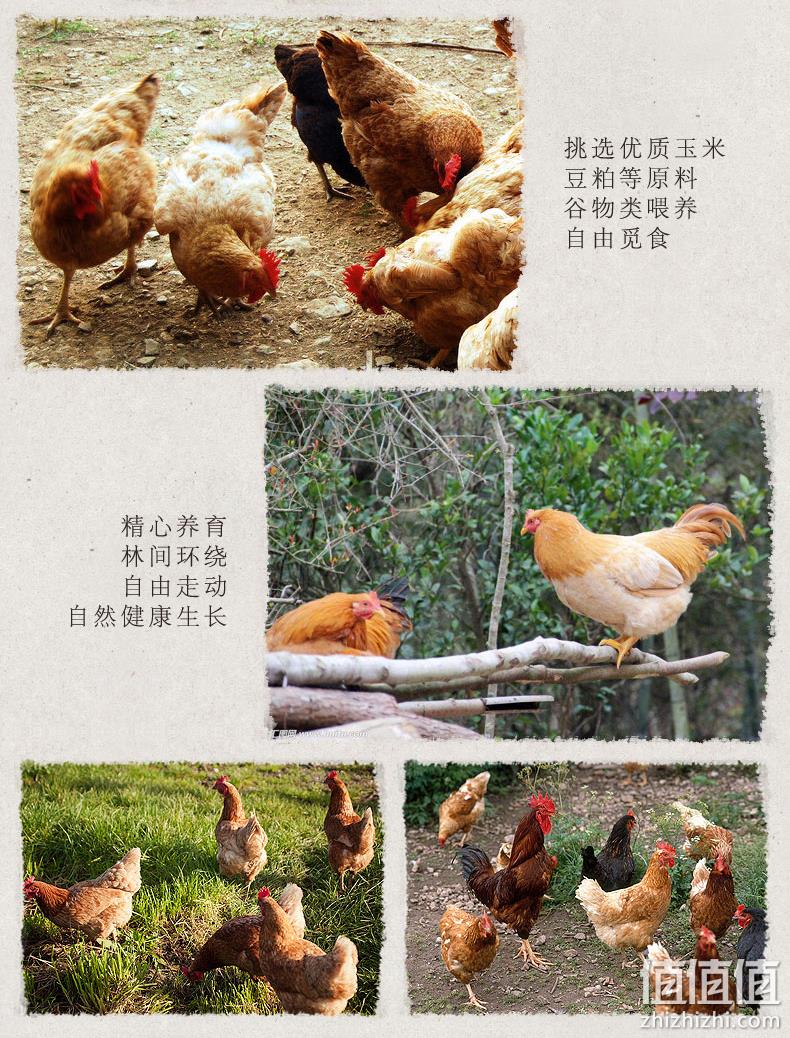 08奥运会供应商 圣华 冷冻生鲜 鸡翅中 4斤 券后108元包顺丰冷链 值值值-买手聚集的地方