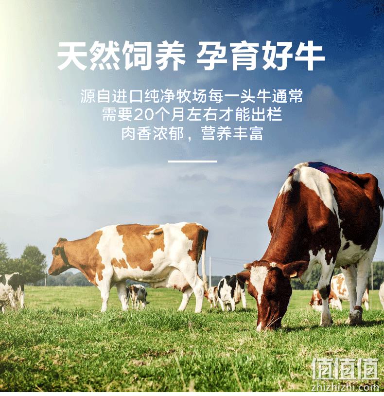 绝世 原肉整切牛排套餐 10片/1300g 券后149元包邮 值值值-买手聚集的地方