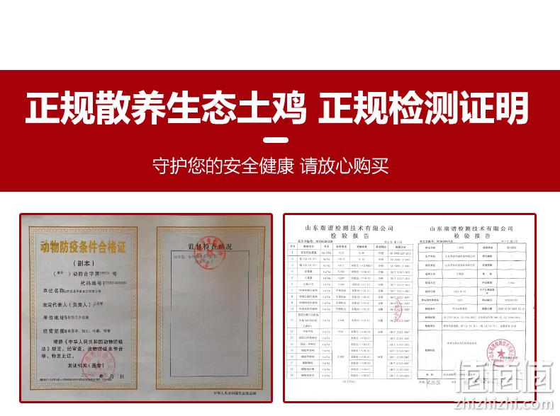 11月新产：山水拾光 新鲜生鸡胗 4斤装 45元包邮 值值值-买手聚集的地方