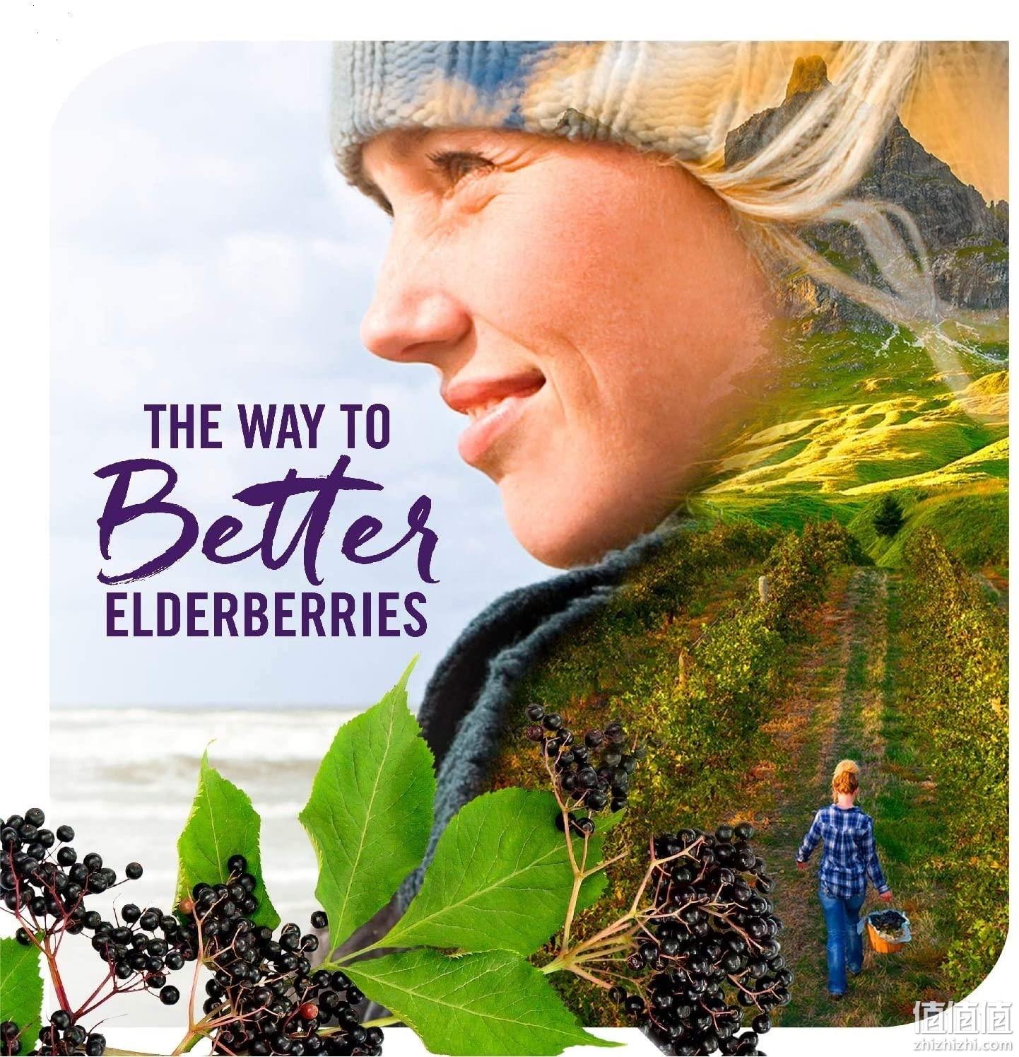 北美保健权威，抑制流感：60粒 Nature's Way 儿童 维生素C黑接骨木软糖 Prime直邮到手138元 值值值-买手聚集的地方