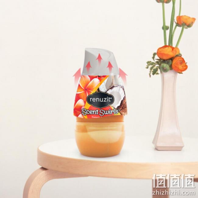 美国进口，Renuzit 蕊风 可调式固体空气清新剂 198gx10件 51.75元 值值值-买手聚集的地方