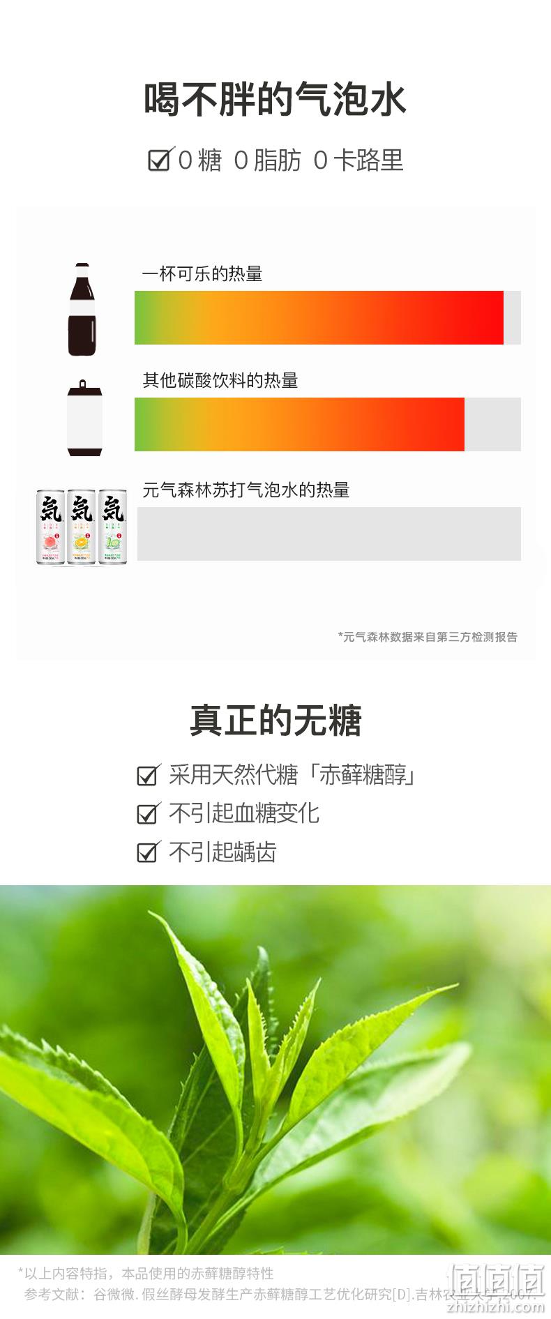 无糖0脂无负担，480mlx12瓶 元气森林 苏打气泡水 莱姆淡姜口味 双重优惠29.95元包邮 值值值-买手聚集的地方