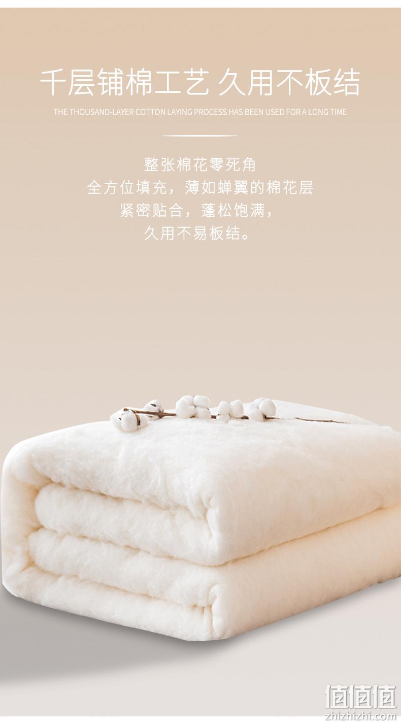 京东自有品牌，100%新疆棉花：6斤 佳佰 冬季印花双人棉被被芯 200x230cm 券后139元包邮 值值值-买手聚集的地方