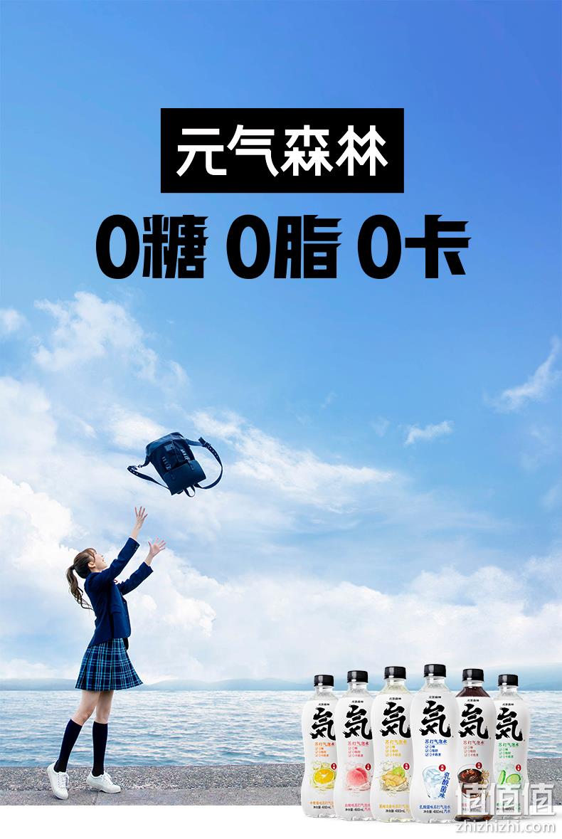 无糖0脂无负担，480mlx12瓶 元气森林 苏打气泡水 莱姆淡姜口味 双重优惠29.95元包邮 值值值-买手聚集的地方