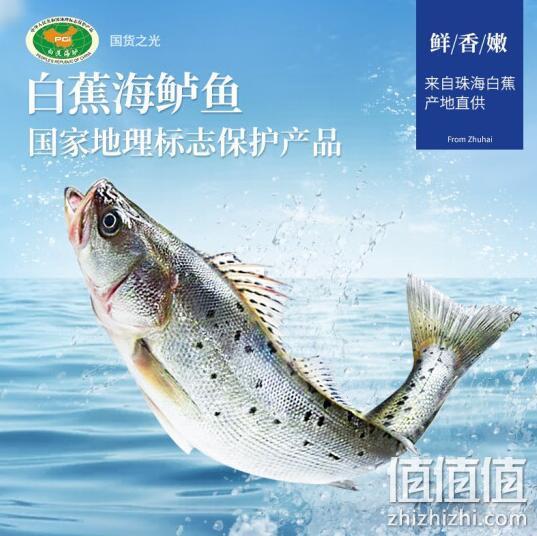 品珍鲜活 白蕉三去海鲈鱼 净重400gx3件 38元包邮 值值值-买手聚集的地方