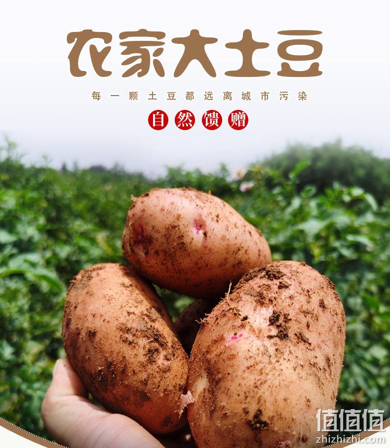 做薯条一级棒，3斤 鲜家班 云南现挖红皮土豆 9.9元起包邮 值值值-买手聚集的地方