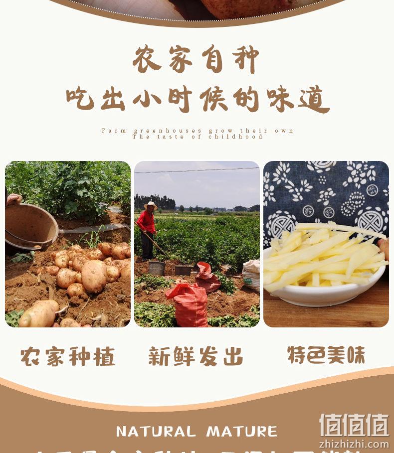 做薯条一级棒，3斤 鲜家班 云南现挖红皮土豆 9.9元起包邮 值值值-买手聚集的地方