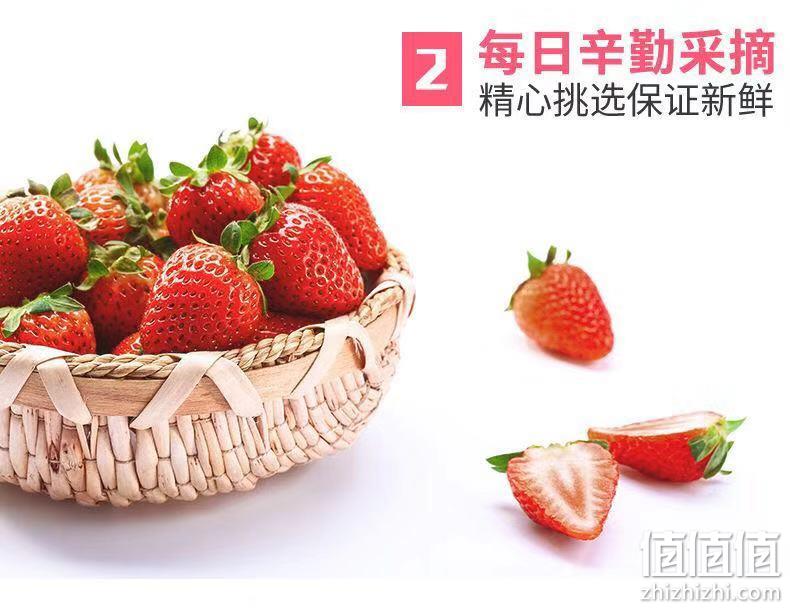 果大如鸡蛋！鲜莱 新鲜丹东草莓 2斤 49元包邮 值值值-买手聚集的地方