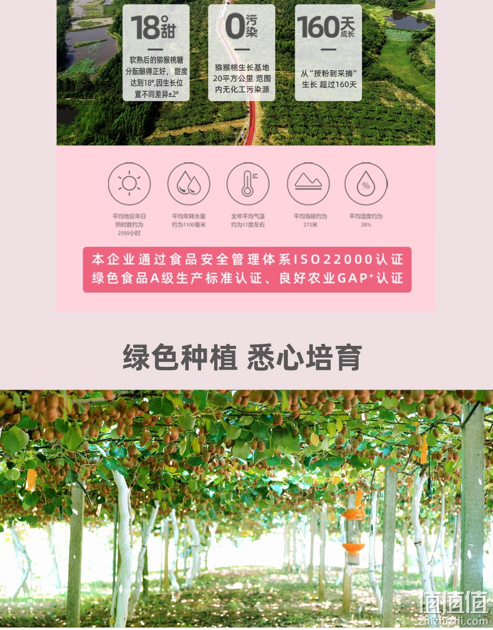 神山果农 蜜恋红心猕猴桃 12个 单果90-99g 券后29.9元包邮 值值值-买手聚集的地方