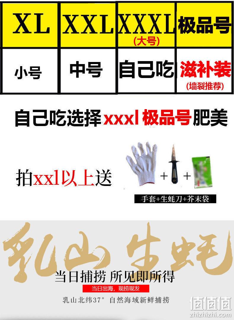 百亿补贴、现捞现发：6斤 40个左右 蜀皇 乳山生蚝 XL 23元包邮 值值值-买手聚集的地方
