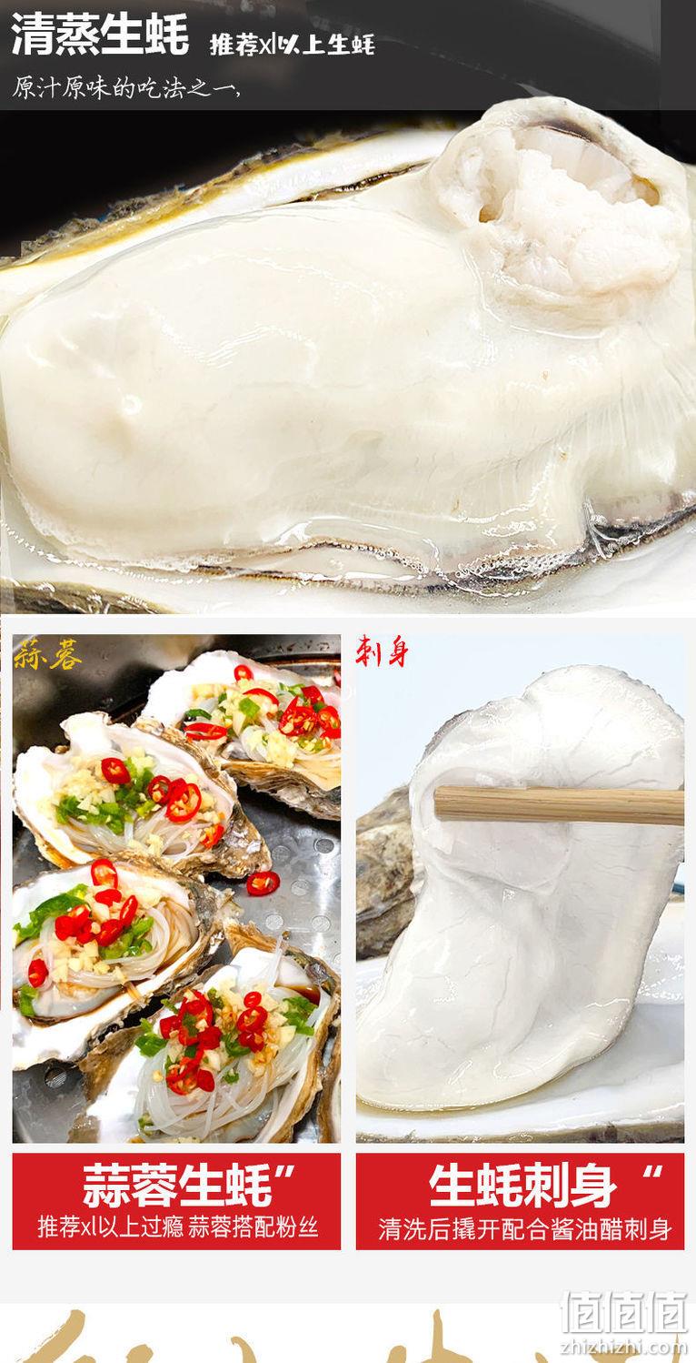 百亿补贴、现捞现发：6斤 40个左右 蜀皇 乳山生蚝 XL 23元包邮 值值值-买手聚集的地方