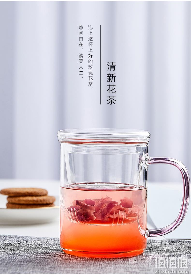 4.9分，支持明火加热，耐热防爆，带盖+茶隔：400ml 杯元素 耐热玻璃茶杯 券后19.5元包邮 值值值-买手聚集的地方