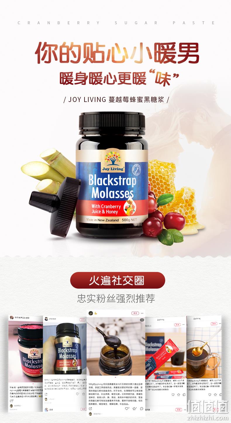 白菜价！新西兰进口：500gx2瓶 Joy Living恬乐园 蔓越莓蜂蜜黑糖浆 多重优惠29.9元包邮 值值值-买手聚集的地方