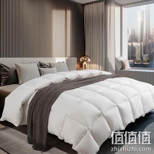 Plus会员：霞珍 50%白鸭绒羽绒被 200x230cm 1400g 349元包邮 值值值-买手聚集的地方