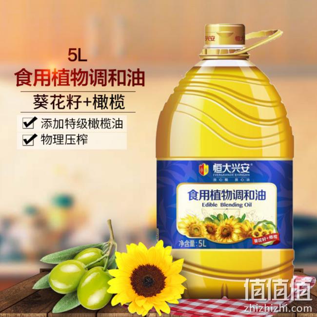 恒大兴安 葵籽橄榄食用调和油 5Lx2件 85.8元包邮 值值值-买手聚集的地方