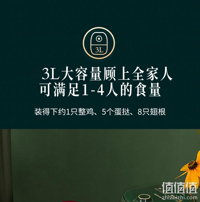 无油更健康，3L可炸整鸡：九阳 高颜值空气炸锅 双重优惠199元包邮 值值值-买手聚集的地方