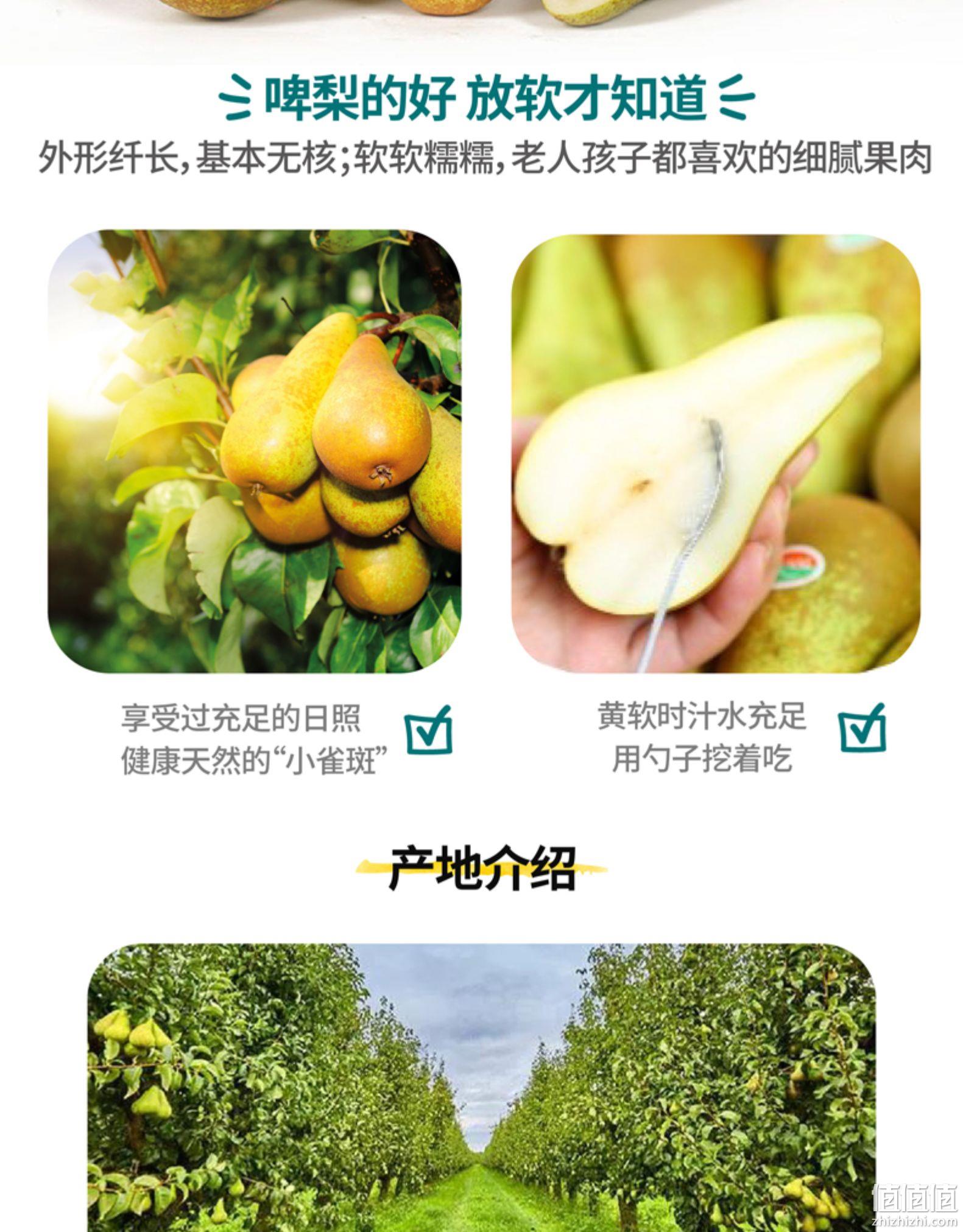 中果/单果约120g，Dole 都乐 比利时Truval 啤梨 8只装 25.9包邮 值值值-买手聚集的地方