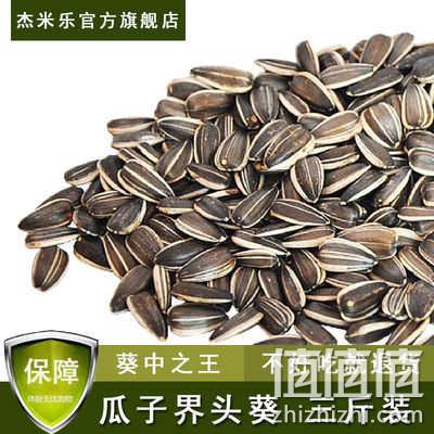 不好吃就退货 500gx3斤 杰米乐 香瓜子 14.85元包邮 值值值-买手聚集的地方