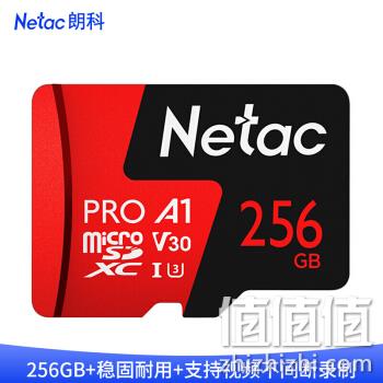 24日0点： Netac 朗科 P500 A1 V30 TF存储卡 256GB 165.9元包邮 值值值-买手聚集的地方